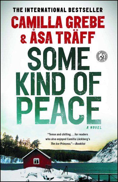 SOME KIND of PEACE: A Novel cover