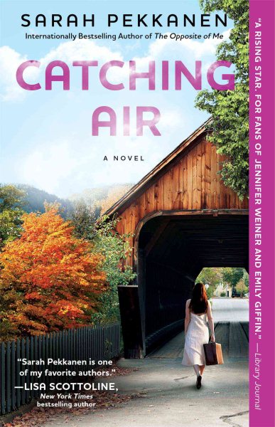 Catching Air: A Novel cover