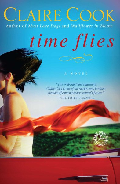 Time Flies: A Novel cover