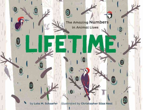 Lifetime: The Amazing Numbers in Animal Lives cover