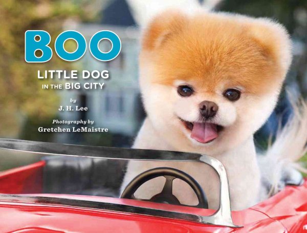 Boo: Little Dog in the Big City cover