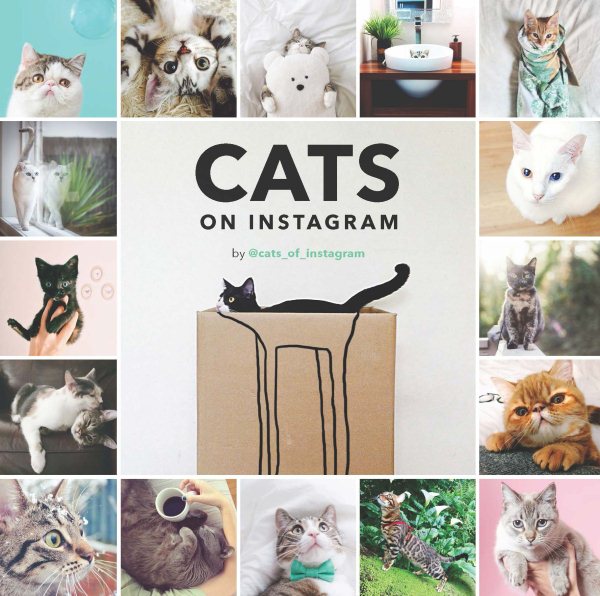 Cats on Instagram cover