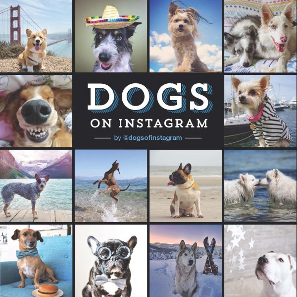 Dogs on Instagram cover
