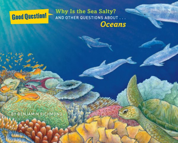 Why Is the Sea Salty?: And Other Questions about Oceans (Good Question!) cover