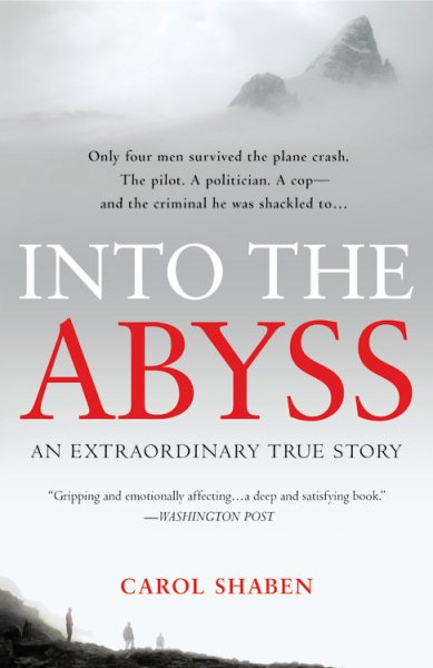 Into the Abyss: An Extraordinary True Story by Shaben, Carol (2014) Paperback cover