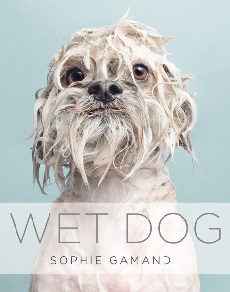 Wet Dog cover