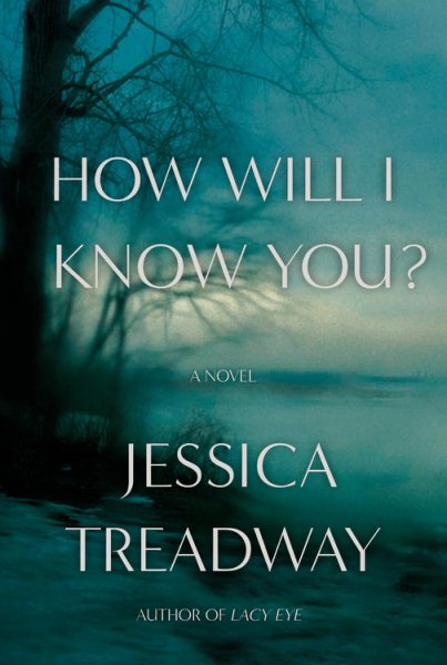 How Will I Know You?: A Novel