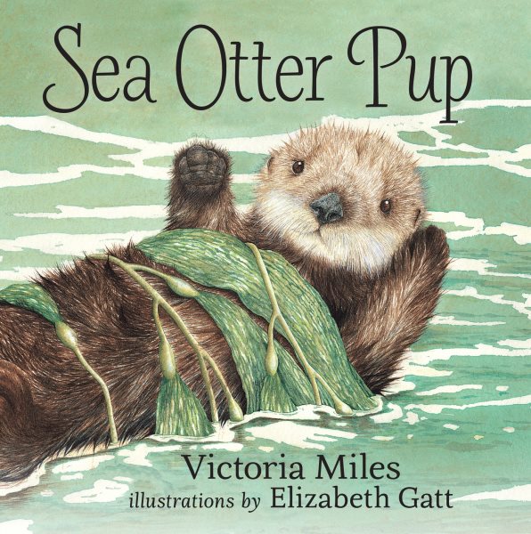 Sea Otter Pup cover