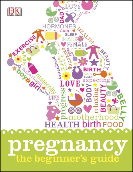Pregnancy: The Beginner's Guide cover