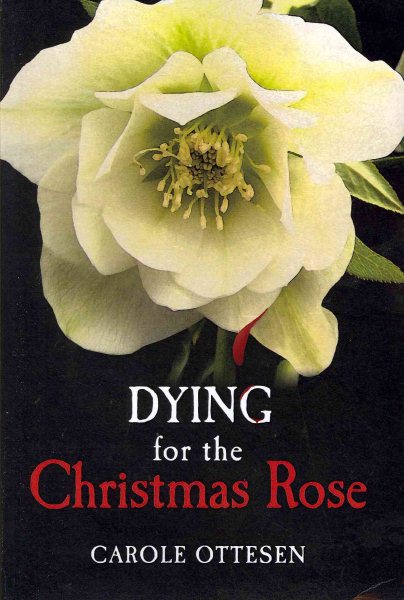 Dying for the Christmas Rose cover