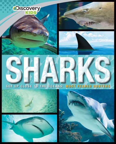 Sharks (Discovery Kids) (Family Reference Guide) cover