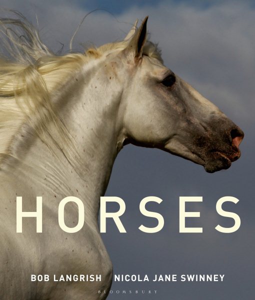 Horses cover