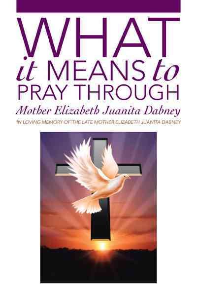 What It Means To Pray Through: A True Mystical Journey Of Spiritual Awakening To Find Divinity In The Heart Of Self cover