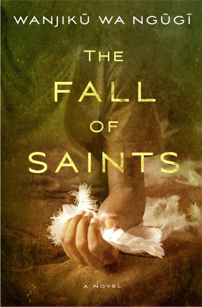 The Fall of Saints: A Novel cover