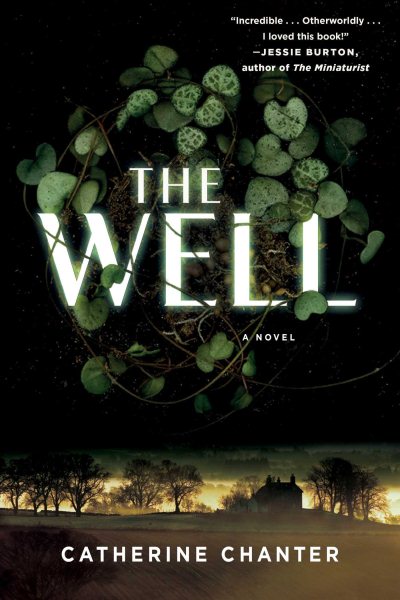 The Well: A Novel cover