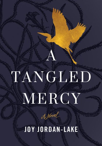 A Tangled Mercy: A Novel cover