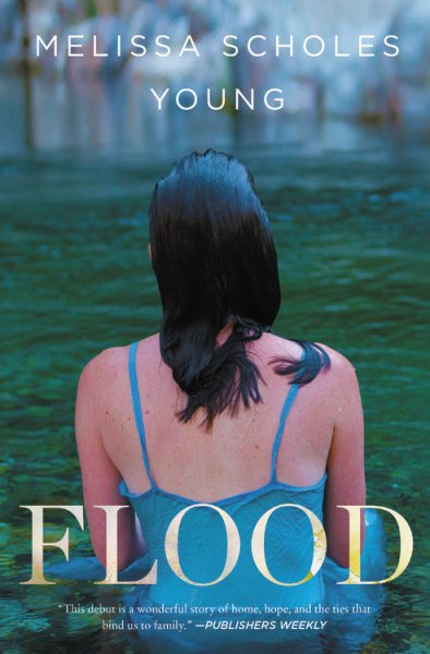 Flood: A Novel cover