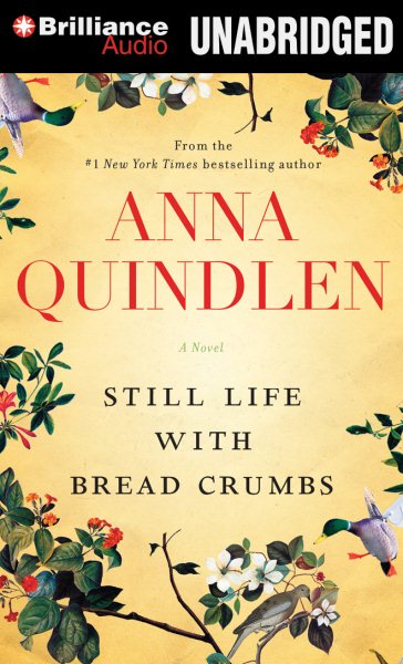 Still Life with Bread Crumbs: A Novel cover