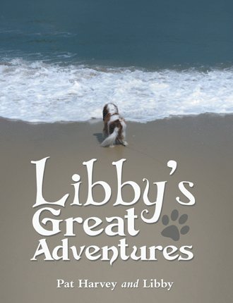 Libby's Great Adventures cover