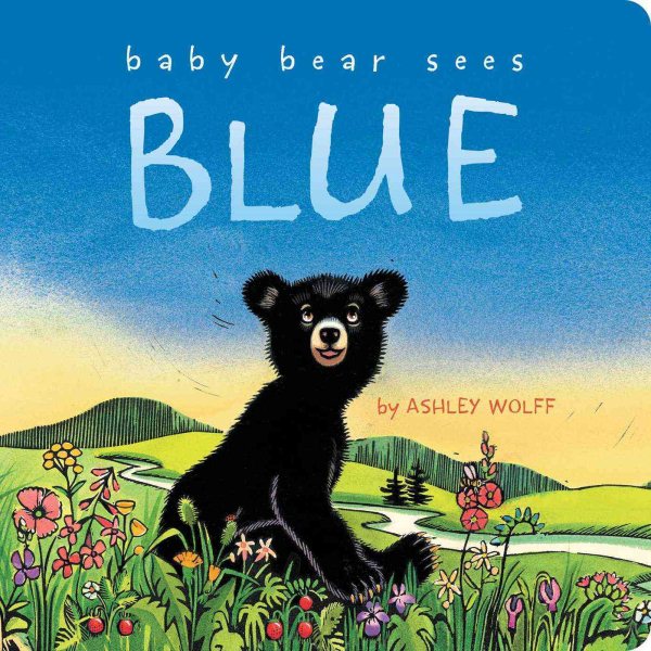 Baby Bear Sees Blue cover