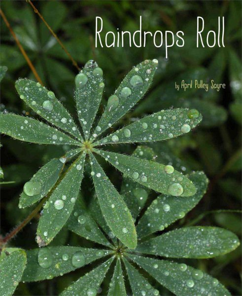 Raindrops Roll (Weather Walks) cover