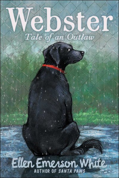 Webster: Tale of an Outlaw cover
