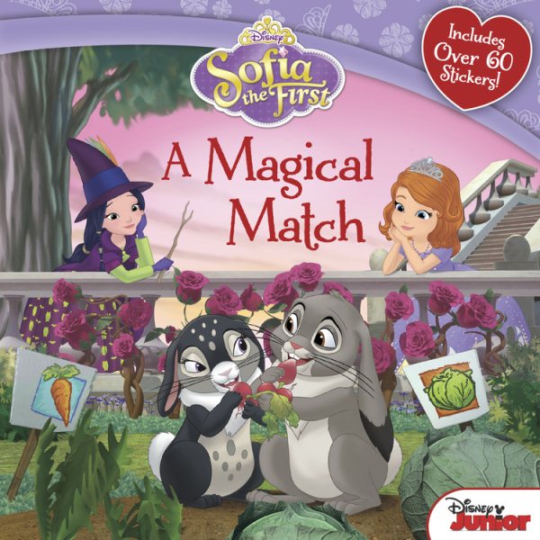 Sofia the First A Magical Match cover