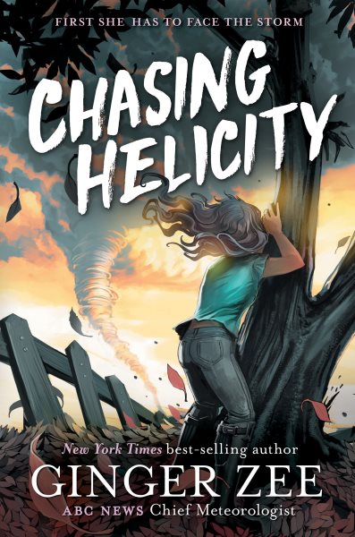 Chasing Helicity: Chasing Helicity-Chasing Helicity, Book 1 cover