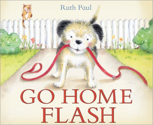 Go Home Flash cover