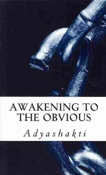 Awakening to the Obvious cover