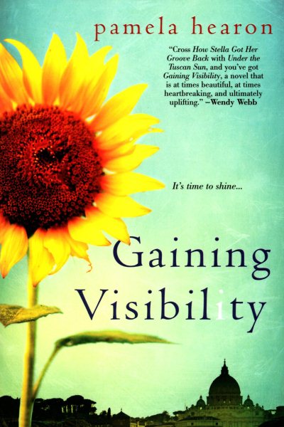 Gaining Visibility cover