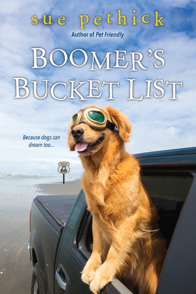 Boomer's Bucket List cover