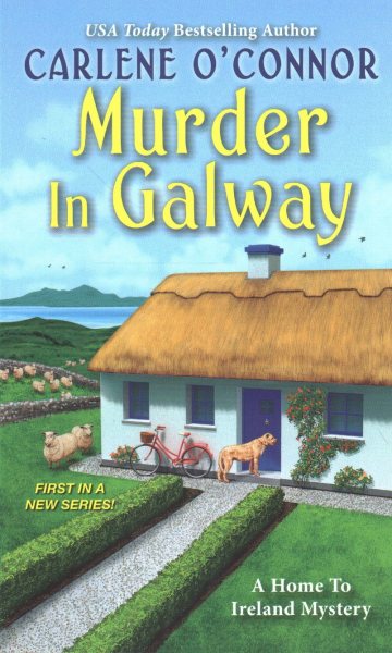 Murder in Galway (A Home to Ireland Mystery) cover