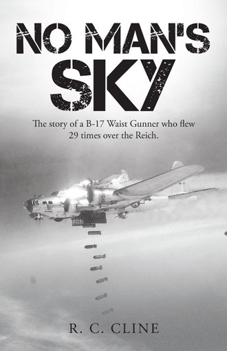 No Man's Sky: The Story of a B-17 Waist Gunner Who Flew Twenty-Nine Times over the Reich cover