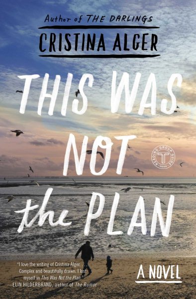This Was Not the Plan: A Novel cover