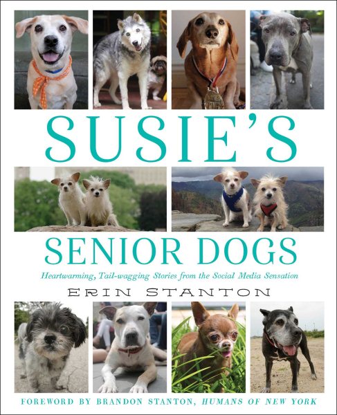 Susie's Senior Dogs cover