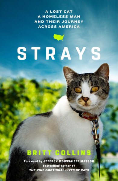 Strays: A Lost Cat, a Homeless Man, and Their Journey Across America cover