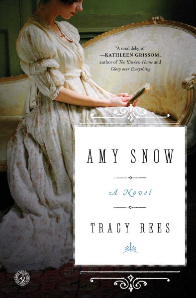 Amy Snow: A Novel cover