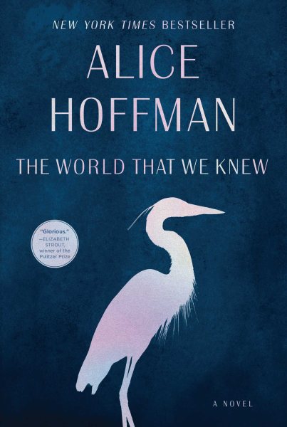 The World That We Knew: A Novel cover