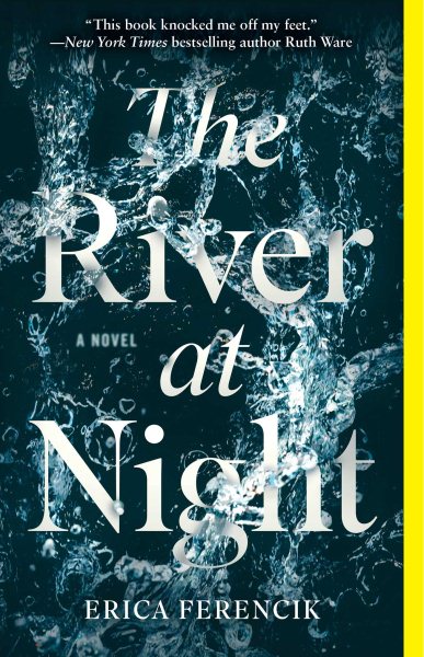 The River at Night: A Novel cover