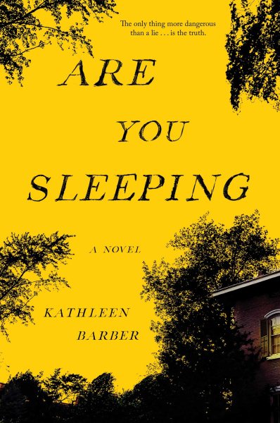 Are You Sleeping: A Novel cover