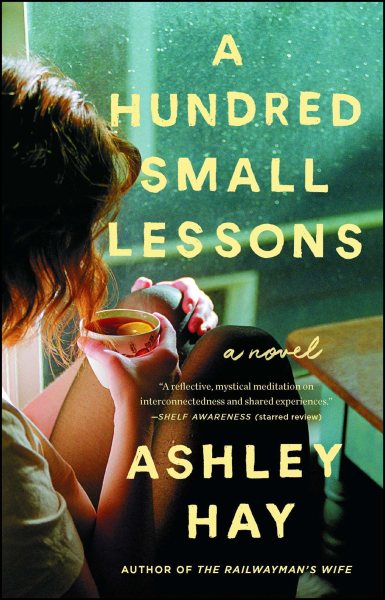 A Hundred Small Lessons: A Novel cover