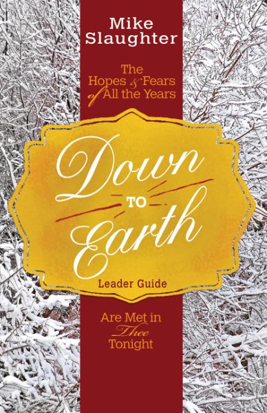 Down to Earth Leader (Down to Earth Advent series) cover