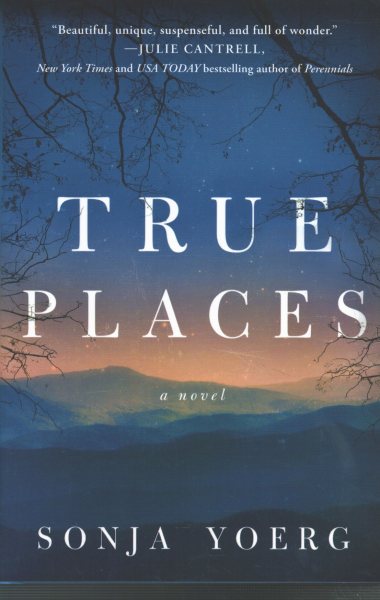 True Places: A Novel cover
