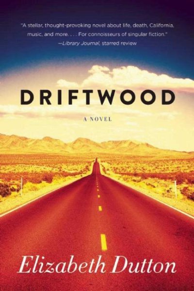 Driftwood: A Novel cover