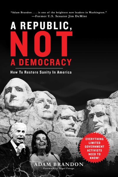 Republic, Not a Democracy: How to Restore Sanity in America cover