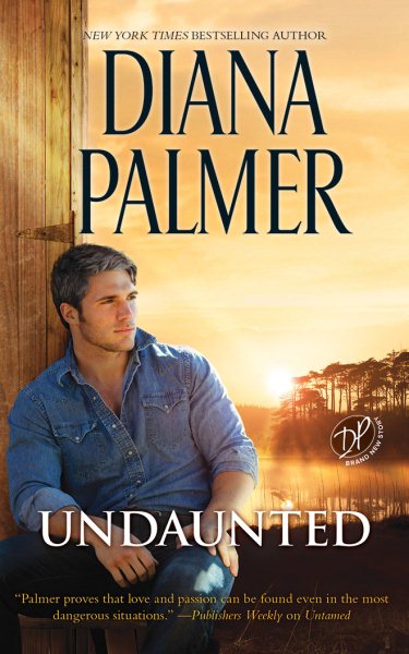Undaunted: A Western Romance Novel (Long, Tall Texans Series) cover