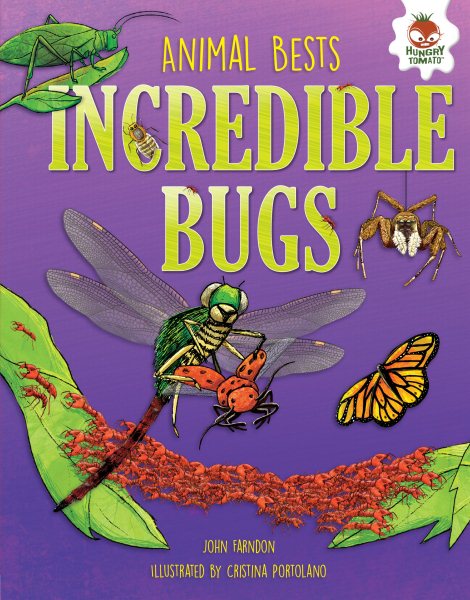 Incredible Bugs (Animal Bests) cover