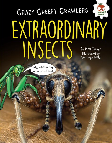 Extraordinary Insects (Crazy Creepy Crawlers) cover