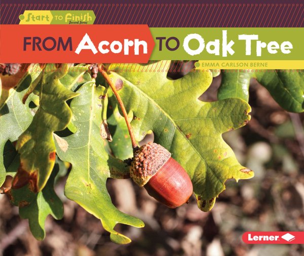 From Acorn to Oak Tree (Start to Finish, Second Series) cover